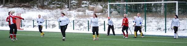 kaapo-tuwe 15.2.2009